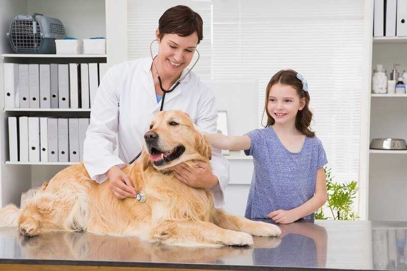 Finding the Best Local Veterinarian in Riverside, CA: A Comprehensive Guide
